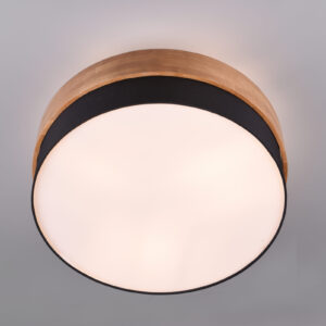 Φωτιστικό Οροφής Trio Lighting SEASONS  2x E14 Νίκελ Ματ Μεταλλικό   – 611500202
