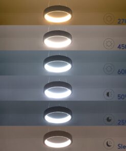 GloboStar® NEMESIS 61154 Κρεμαστό Φωτιστικό Δαχτυλίδι-Κύκλος LED CCT 20W 2356lm 360° AC 220-240V – Εναλλαγή Φωτισμού μέσω Τηλεχειριστηρίου All In One Ψυχρό 6000k+Φυσικό 4500k+Θερμό 2700k Dimmable Φ25cm – Χρυσό Βούρτσας – 3 Years Warranty