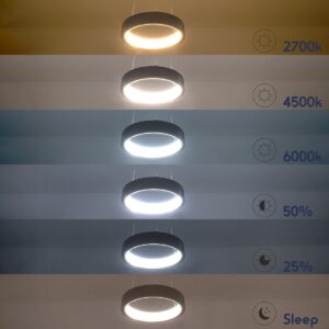GloboStar® NEMESIS 61154 Κρεμαστό Φωτιστικό Δαχτυλίδι-Κύκλος LED CCT 20W 2356lm 360° AC 220-240V – Εναλλαγή Φωτισμού μέσω Τηλεχειριστηρίου All In One Ψυχρό 6000k+Φυσικό 4500k+Θερμό 2700k Dimmable Φ25cm – Χρυσό Βούρτσας – 3 Years Warranty