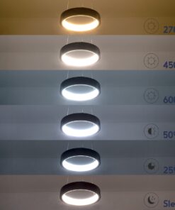 GloboStar® NEMESIS 61152 Κρεμαστό Φωτιστικό Δαχτυλίδι-Κύκλος LED CCT 20W 2356lm 360° AC 220-240V – Εναλλαγή Φωτισμού μέσω Τηλεχειριστηρίου All In One Ψυχρό 6000k+Φυσικό 4500k+Θερμό 2700k Dimmable Φ25cm – Μαύρο – 3 Years Warranty