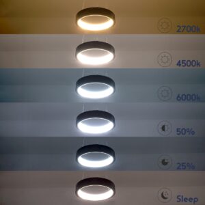 GloboStar® NEMESIS 61161 Κρεμαστό Φωτιστικό Δαχτυλίδι-Κύκλος LED CCT 67W 7689lm 360° AC 220-240V – Εναλλαγή Φωτισμού μέσω Τηλεχειριστηρίου All In One Ψυχρό 6000k+Φυσικό 4500k+Θερμό 2700k Dimmable Φ80cm – Μαύρο – 3 Years Warranty