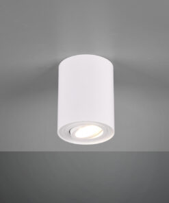 Φωτιστικό Οροφής Trio Lighting   GU10 Λευκό Ματ Μεταλλικό    612900131
