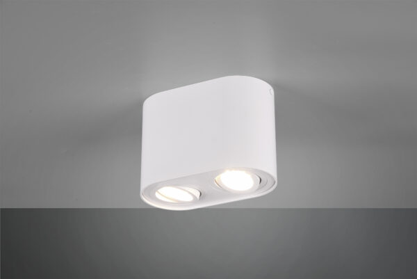 Φωτιστικό Οροφής Trio Lighting   GU10 Λευκό Ματ Μεταλλικό    612900231