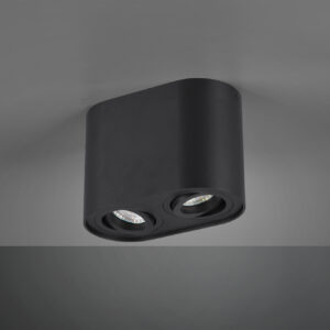 Φωτιστικό Οροφής Trio Lighting   GU10 Μαύρο Ματ Μεταλλικό    612900232