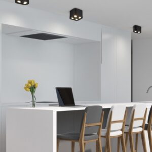 Φωτιστικό Οροφής Trio Lighting   GU10 Μαύρο Ματ Μεταλλικό    612900232
