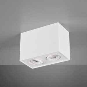 Φωτιστικό Οροφής Trio Lighting   GU10 Λευκό Ματ Μεταλλικό    613000231