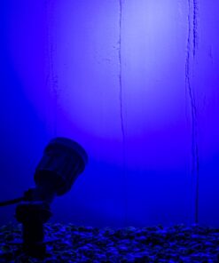 GloboStar® GARDENINI 61545 Καρφωτό Φωτιστικό Σποτ Κήπου LED 5W 550lm 38° DC 24V IP68 Υψηλής Αντοχής ABS IK06 Φ5.5 x Υ13.5cm – Μπλε 450nm Dimmable – Μαύρο – Bridgelux Chip – 3 Years Warranty