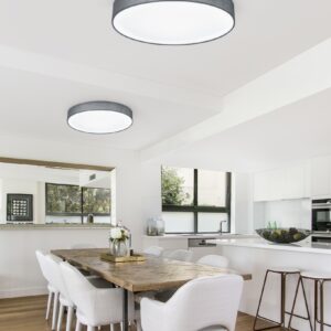 Φωτιστικό Οροφής Trio Lighting LED 22W  Νίκελ Ματ Μεταλλικό Step Dimmable 2200lm 3000K  621912411
