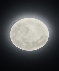 Φωτιστικό Οροφής Trio Lighting LED 22W Λευκό Ακρυλικό Dimmable 2000lm 3000K 627514000