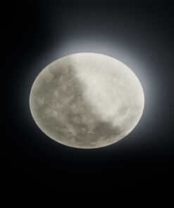 Φωτιστικό Οροφής Trio Lighting LED 22W Λευκό Ακρυλικό Dimmable 2000lm 3000K 627514000