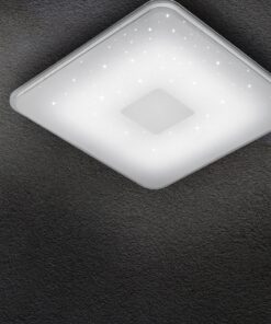 Φωτιστικό Οροφής Trio Lighting LED 21,5W Λευκό Ακρυλικό Dimmable 2400lm 3000 – 5500K 628613001