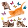 Cats αυτοκόλλητα βινυλίου για τζάμι M Ango – 64001