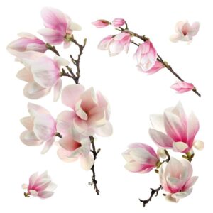 Magnolia αυτοκόλλητα βινυλίου για τζάμι Ango – 64006