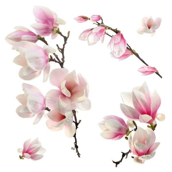 Magnolia αυτοκόλλητα βινυλίου για τζάμι Ango – 64006