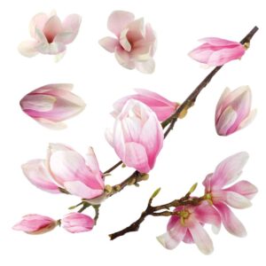 Magnolia αυτοκόλλητα βινυλίου για τζάμι Ango – 64006