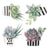 Cactus αυτοκόλλητα βινυλίου για τζάμι Ango – 64013