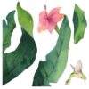 Tropical Flowers αυτοκόλλητα βινυλίου για τζάμι Ango – 64017
