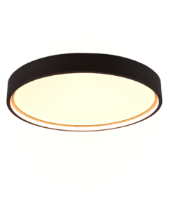 Φωτιστικό Οροφής Trio Lighting LED 29W 3000K Μαύρου Χρώματος – 641310232