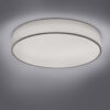 Φωτιστικό Οροφής Trio Lighting LED 36W  Λευκό Μεταλλικό 3400lm RGBW  3000 – 5000K  651914001