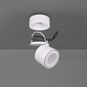 Φωτιστικό Οροφής Trio Lighting LED 3,5W  Λευκό Ματ Μεταλλικό 340lm 3000K  652910131