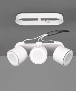 Φωτιστικό Οροφής Trio Lighting LED 3,5W Λευκό Ματ Μεταλλικό 340lm 3000K 652910331