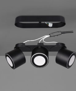 Φωτιστικό Οροφής Trio Lighting LED 3,5W Μαύρο Ματ Μεταλλικό 340lm 3000K 652910332