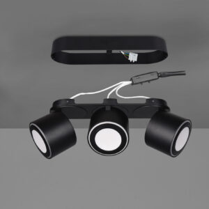 Φωτιστικό Οροφής Trio Lighting LED 3,5W  Μαύρο Ματ Μεταλλικό 340lm 3000K  652910332
