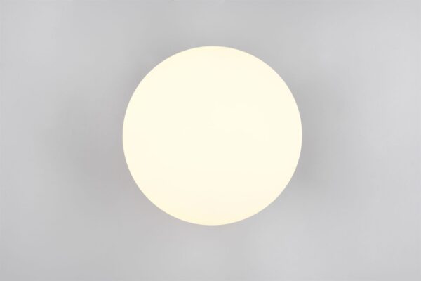 Φωτιστικό Οροφής Μαύρο Ματ & Οπάλ Γυαλί FOMENTO 1xE27 Φ33 Trio Lighting – 663100132