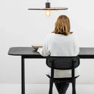 Faro Barcelona COSTAS 600 Κρεμαστό Φωτιστικό E27 σε Μαύρο/Ραττάν 15W – 68590-69