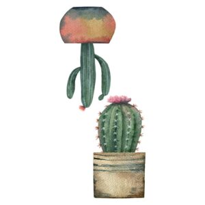 Cactus αυτοκόλλητα βινυλίου για τζάμι S Ango – 69001