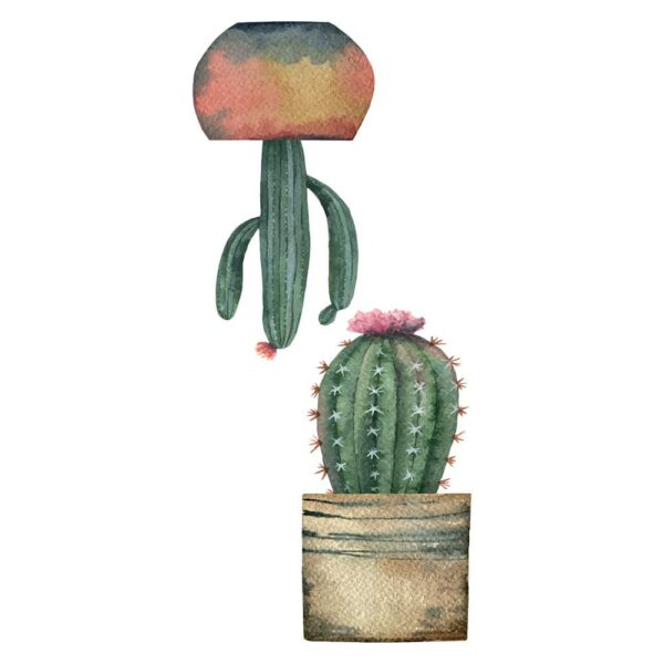 Cactus αυτοκόλλητα βινυλίου για τζάμι S Ango – 69001
