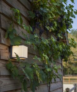 Lutec Doblo Επιτοίχιο Φωτιστικό Εξωτερικού Χώρου Σκούρο Γκρι Χρώμα LED 1600lm 3000K IP54 – 5105001125