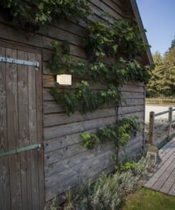 Lutec Doblo Επιτοίχιο Φωτιστικό Εξωτερικού Χώρου Σκούρο Γκρι Χρώμα LED 1600lm 3000K IP54 – 5105001125