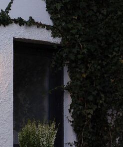 Lutec City Φωτιστικό Τοίχου Εξωτερικού Χώρου E27 Σκούρο Γκρι IP44 – 5183601118