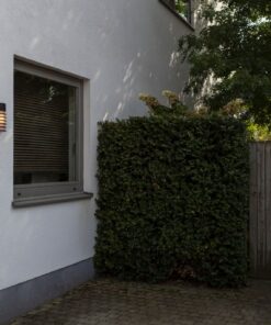 Lutec Fulton Εξωτερικού Χώρου Φωτιστικό Τοίχου E27 Μαύρο LED IP44 – 5207601012