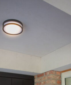 Lutec Rola Φωτιστικό Οροφής Εξωτερικού Χώρου Led Μαύρου Χρώματος LED 800lm 3000K IP54 – 6382201012