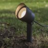 Lutec Explorer  Φωτιστικό Καρφί Κήπου Σκούρο Γκρι Χρώμα LED 380lm 3000K IP54 – 6609201118
