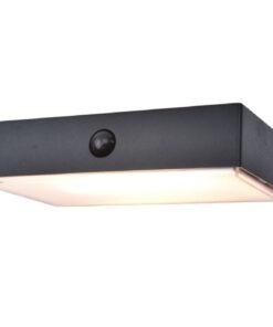 Lutec Fadi Ηλιακό Φωτιστικό Τοίχου Με Ανιχνευτή Κίνησης Μαύρο Απομακρυσμένη Λειτουργία LED Dimmable 800lm 2700K-6500K IP44 – 6939501330