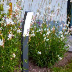Lutec Kira Κολωνάκι Κήπου Bollard Σκούρο Γκρι Χρώμα 4000K LED 1200lm 4000K IP54 – 7288902118