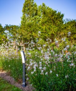 Lutec Kira Κολωνάκι Κήπου Led Bollard Σκούρο Γκρι LED Dimmable 1200lm 2700-6500K IP54 – 7288906118