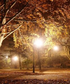 Φθινοπωρινό τοπίο σε πάρκο τη νύχτα με φωτισμένα δέντρα και πεσμένα φύλλα κάτω από φανάρια.