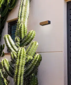 Faro Barcelona LAKO Επιτραπέζιο Φωτιστικό LED σε Ξύλινο Φινίρισμα 8W 3000K IP65 – 71898