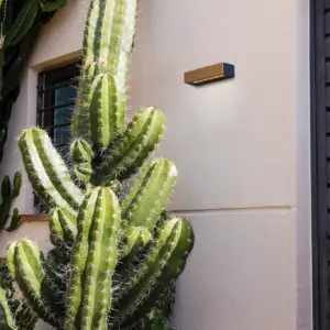 Faro Barcelona LAKO Επιτραπέζιο Φωτιστικό LED σε Ξύλινο Φινίρισμα 8W 3000K IP65 – 71898