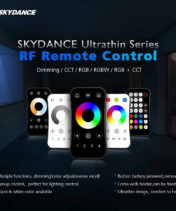 GloboStar® 73158 R9 SKYDANCE Ασύρματο Χειριστήριο RF 2.4Ghz 1 Group για όλα τα Πολύχρωμα SKYDANCE Controller DC 3V 1 x CR2032 – IP20 Μ10.7 x Π5.8 x Υ1cm – 5 Χρόνια Εγγύηση