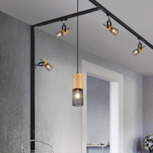Κρεμαστό Φωτιστικό Trio Lighting DUOLINE  1x E27 Μαύρο Ματ Μεταλλικό   – 73430132