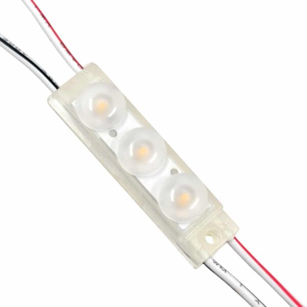 GloboStar® 73710 20 Τεμάχια x LED Modules 3 x SMD 3030 Philips 1W 120lm DC 12V IP67 Θερμό Λευκό 3000k