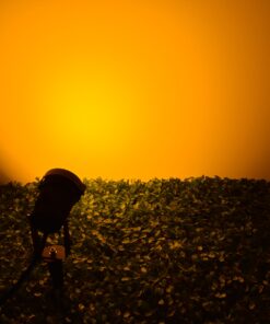 GloboStar® 75584 Προβολάκι Κήπου Καρφωτό – Δαπέδου Bridgelux COB LED 10W 1000lm 35° DC 12V Αδιάβροχο IP67 Ultra Θερμό Λευκό 2200K Dimmable