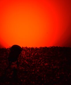 GloboStar® 75585 Προβολάκι Κήπου Καρφωτό – Δαπέδου Bridgelux COB LED 10W 1000lm 35° DC 12V Αδιάβροχο IP67 Ultra Κόκκινο Dimmable