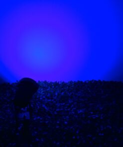 GloboStar® 75587 Προβολάκι Κήπου Καρφωτό – Δαπέδου Bridgelux COB LED 10W 1000lm 35° DC 24V Αδιάβροχο IP67 Ultra Μπλε Dimmable