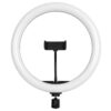 GloboStar® 75802 Professional Digital Ring Light Φ30cm LED SMD 40W 4000lm 180° DC 5V με Καλώδιο Τροφοδοσίας USB – Ενσωματωμένο Χειριστήριο Εναλλαγής Χρωμάτων & 1 Βάση Τηλεφώνου – Πολύχρωμο RGBW+WW Dimmable
